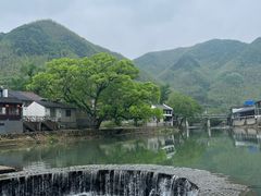 -鹿亭中村