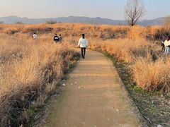 -良渚古城遗址公园