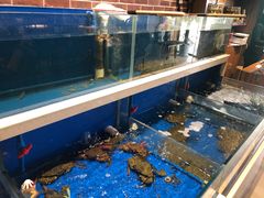-姜君·千岛湖鱼头馆(浦东大道店)