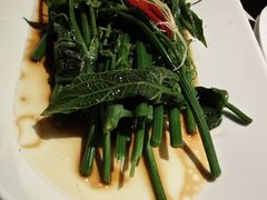 -杨氏青龙虾·羊蝎子(金盛路总店)