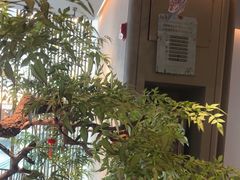 -绿茶餐厅(二七万达店)