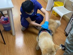 -北京观赏动物医院·24小时大型综合·猫专科·异宠专科