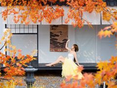 -Blue Concept Cafe&Farm·關於藍