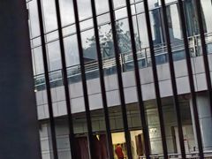 -深圳大学城（南区）体育中心-游泳馆