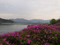 -江南天池