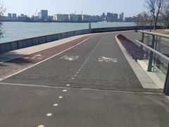 -上海山野camping·户外天幕烧烤·团建拓展营地