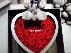 -ROSEONLY诺誓(磐基中心店)