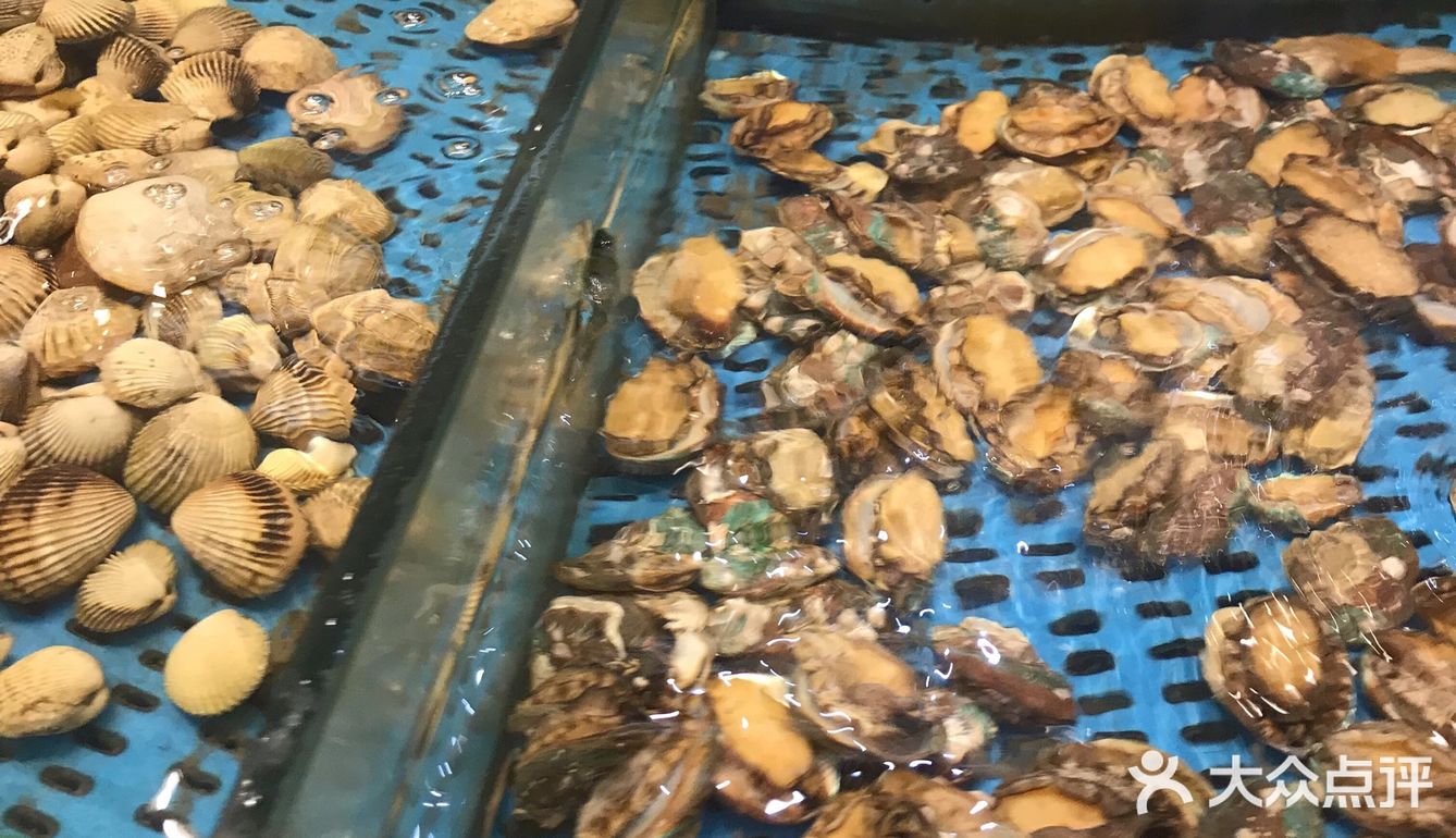海鲜大世界，各种各样的新鲜海鲜有大闸蟹、象拔蚌、