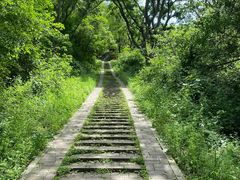 -青龙山国家森林公园