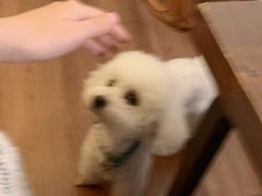 -默迹咖啡馆