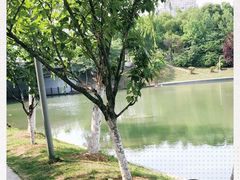 -天鹅湖体育公园
