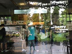 -莓园冰淇淋店