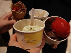 -LUNEURS月乐诗·法式冰淇淋(环贸店)