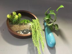 点击看大图 -丝语萱形象