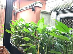 -星巴克(成都锦里店)