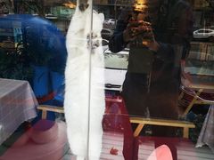 -花与咖啡馆(金星楼店)