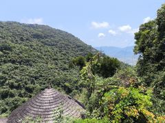 -三亚亚龙湾人间天堂鸟巢度假村