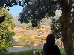 -杨家堂村