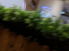 -满记甜品(王府井北京市百货大楼店)