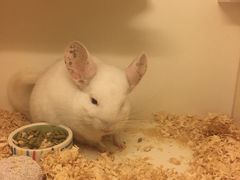 -龙猫仔乐园(惠福东路店)