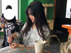 -喵店&猫咖