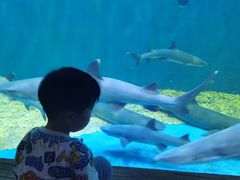 -华夏文旅西安度假区