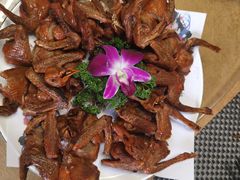 鸽子-元鼎宝驴香·全驴宴(江宁店)