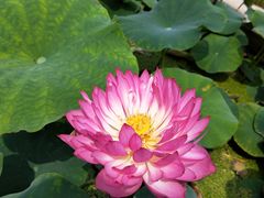 -南戴河国际娱乐中心