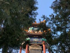 -府君山公园