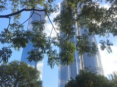 -陆家嘴中心绿地
