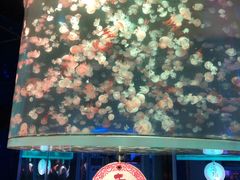 -大明湖海底世界
