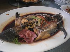 IMAG1083-团圆食府(新东路店)