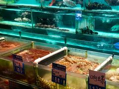 -强记海鲜·大排档(蛇口新街店)