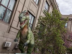 -国家自然博物馆