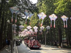 -日照海滨国家森林公园