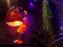 -醉小酒馆·川菜·江湖菜·重庆菜(观音桥旗舰店)