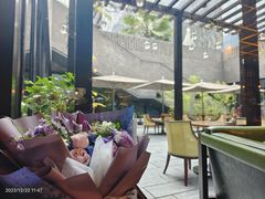 -Tivano意大利餐厅(成都居舍酒店)