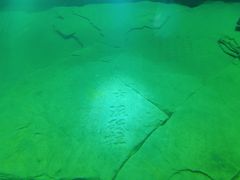 -白鹤梁水下博物馆