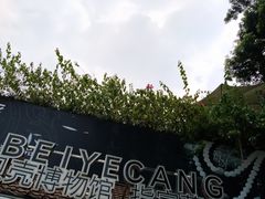 -贝壳梦幻世界