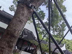 -上海醉白池公园