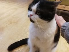 -万小咖.猫咖(中山路天虹店)