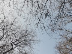 -沈阳市东陵公园
