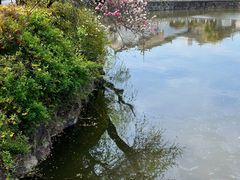 -水绘园
