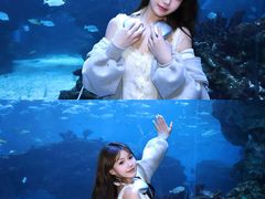 -海合安成都极地海洋公园