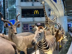 -星巴克(广州正佳广场4层店)