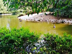 -长白岛森林公园