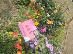 -人民公园(罗湖区)