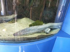 -厦门海底世界