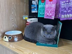 -中农大我爱我爱动物医院·核磁CT·猫病·24小时夜诊中心(石佛营店)