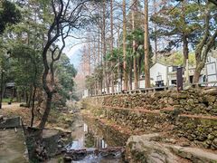 -白鹿洞书院